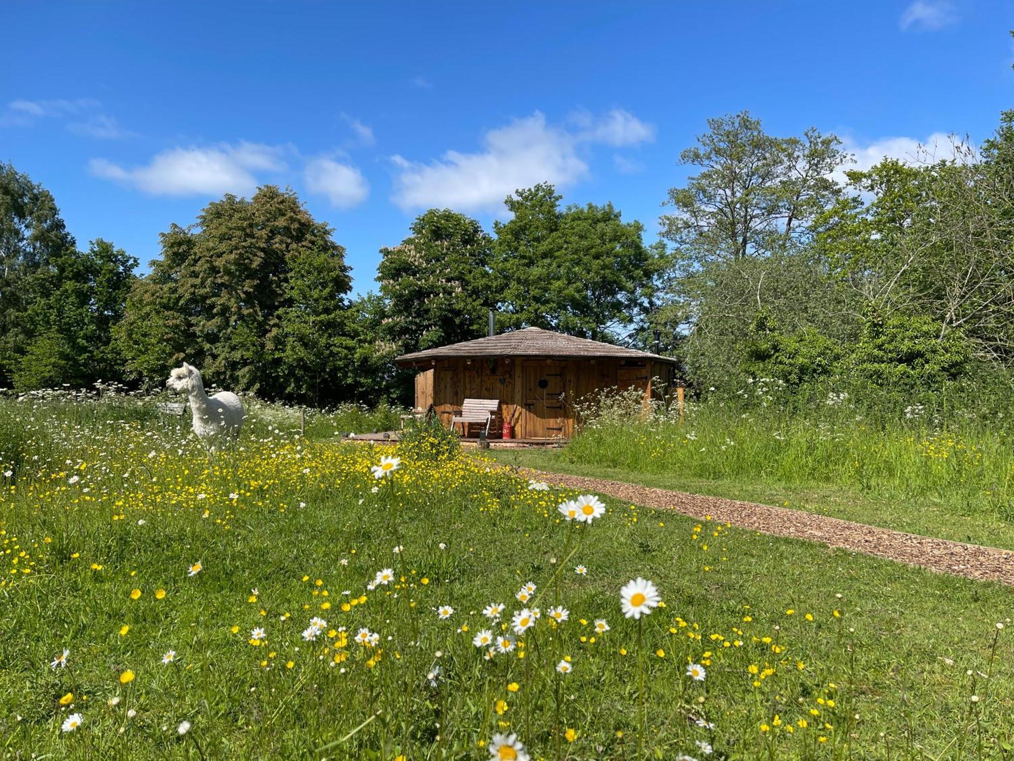 Acorn Glade Glamping York Villa — Photos 1